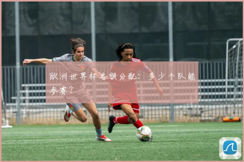 欧洲世界杯名额分配:多少个队能参赛?