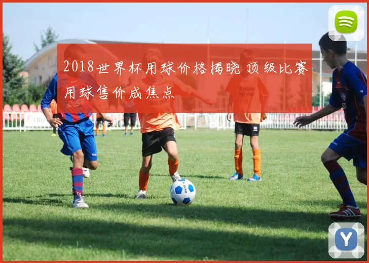 2018世界杯用球价格揭晓 顶级比赛用球售价成焦点