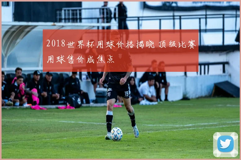 2018世界杯用球价格揭晓 顶级比赛用球售价成焦点