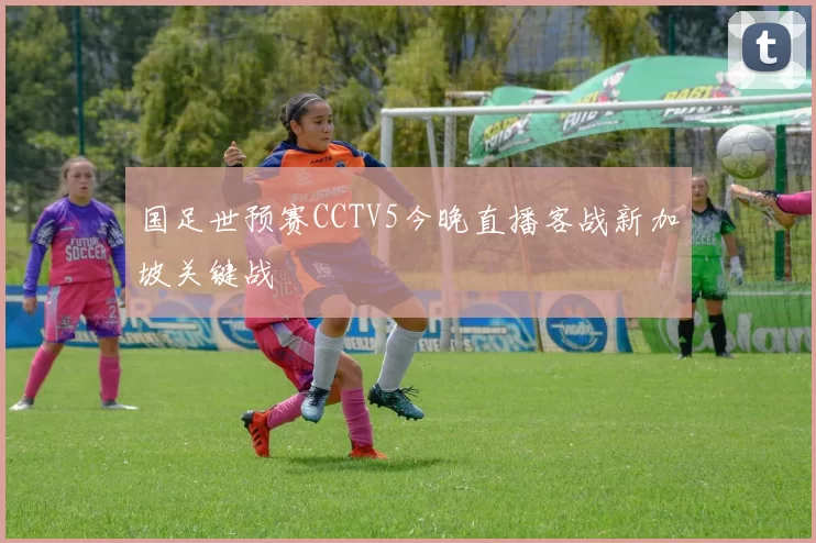 国足世预赛CCTV5今晚直播客战新加坡关键战