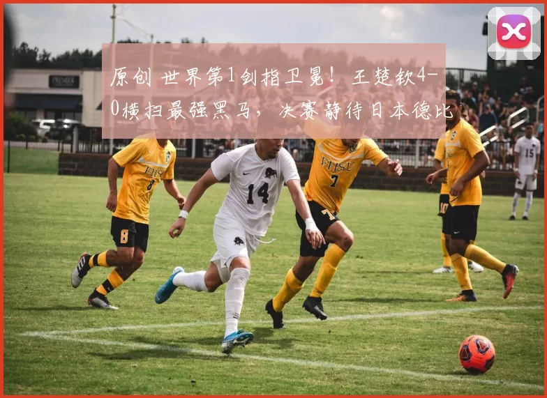 原创 世界第1剑指卫冕！王楚钦4-0横扫最强黑马，决赛静待日本德比胜者